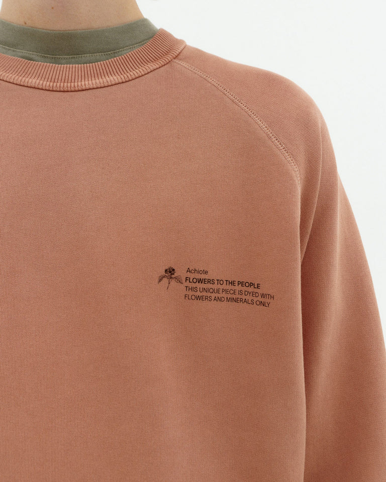 Sudadera achiote FTP hombre-3